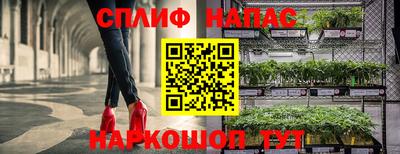 каннабис Кингисепп