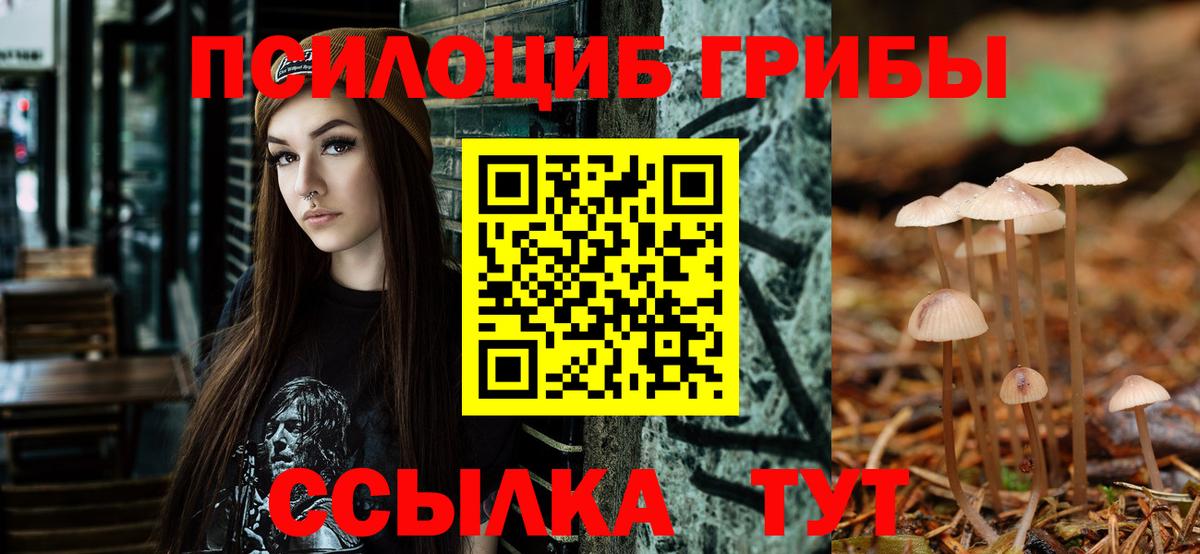 Ессентуки  Галлюциногенные грибы Psilocybine cubensis  наркота  Вход с VPN 