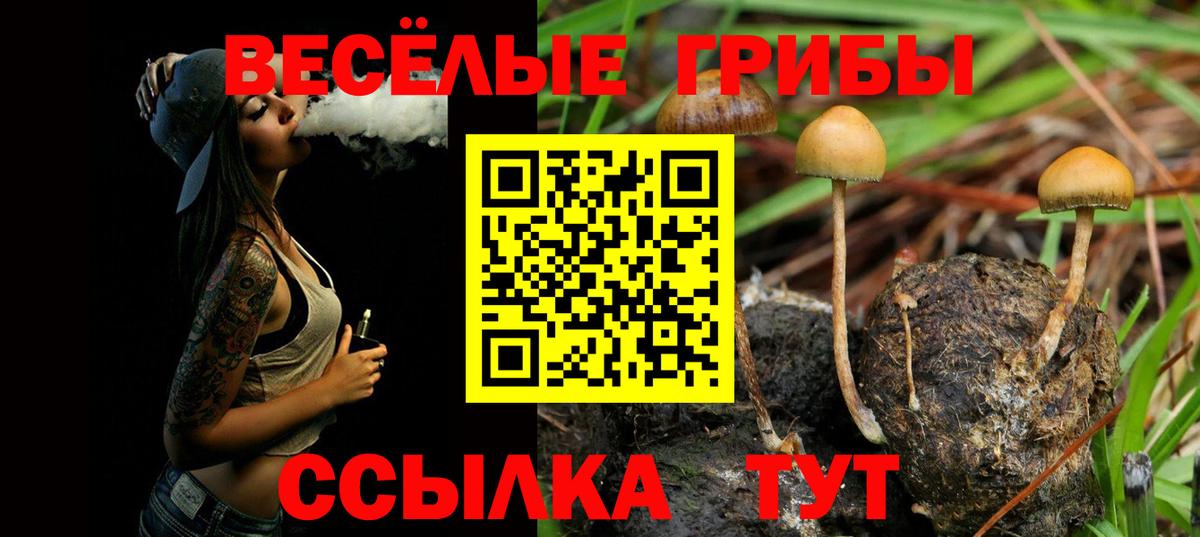 Галлюциногенные грибы ЛСД Ессентуки